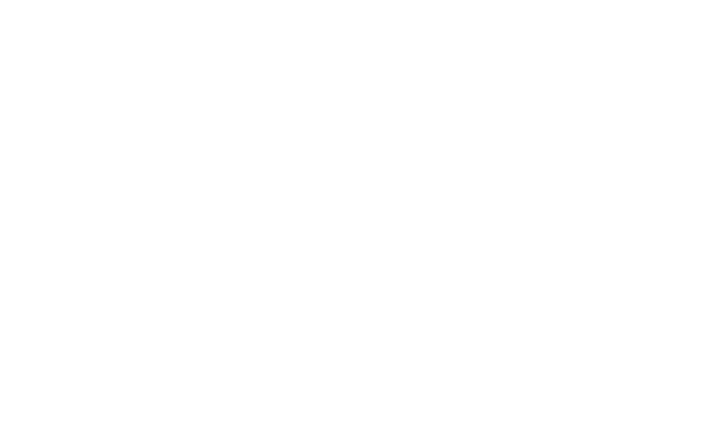Option 5 - Apple Pay